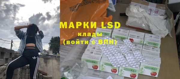мдпв Горнозаводск