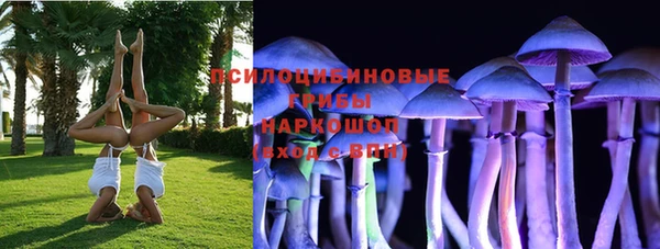jwh Горняк