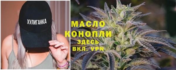 мдпв Горнозаводск
